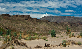Chihuahuan Desert CHIHUAHUA