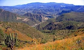 Sierra Madre Occidental mountain CHIHUAHUA