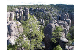 CHIHUAHUA Sub tropical