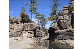 Cumbres de Majalca National Park